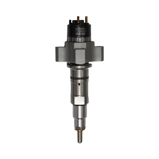 Inyector Einer DS, Cummins ISL ISC 8.3, 2872765