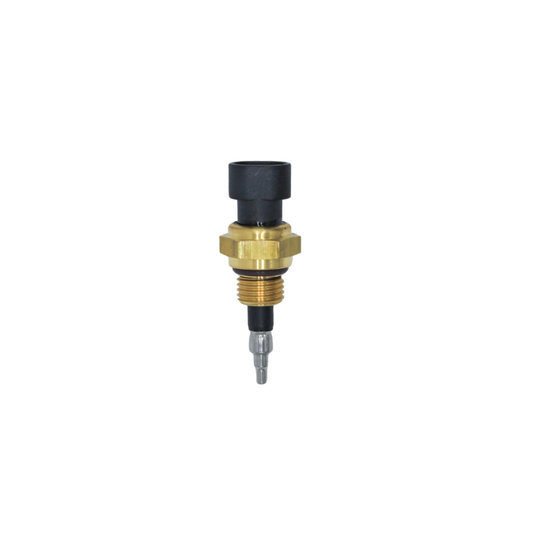 Sensor temperatura admisión ISC ISL, Einer DS, 4088832