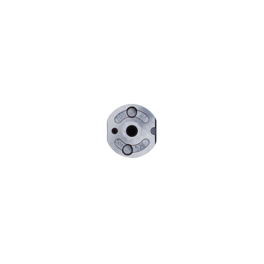Válvula Einer DS, Inyector C4.4 Caterpillar, 295050-0421