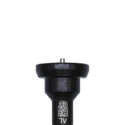 Tobera Einer DS, ISM Cummins, 4902924