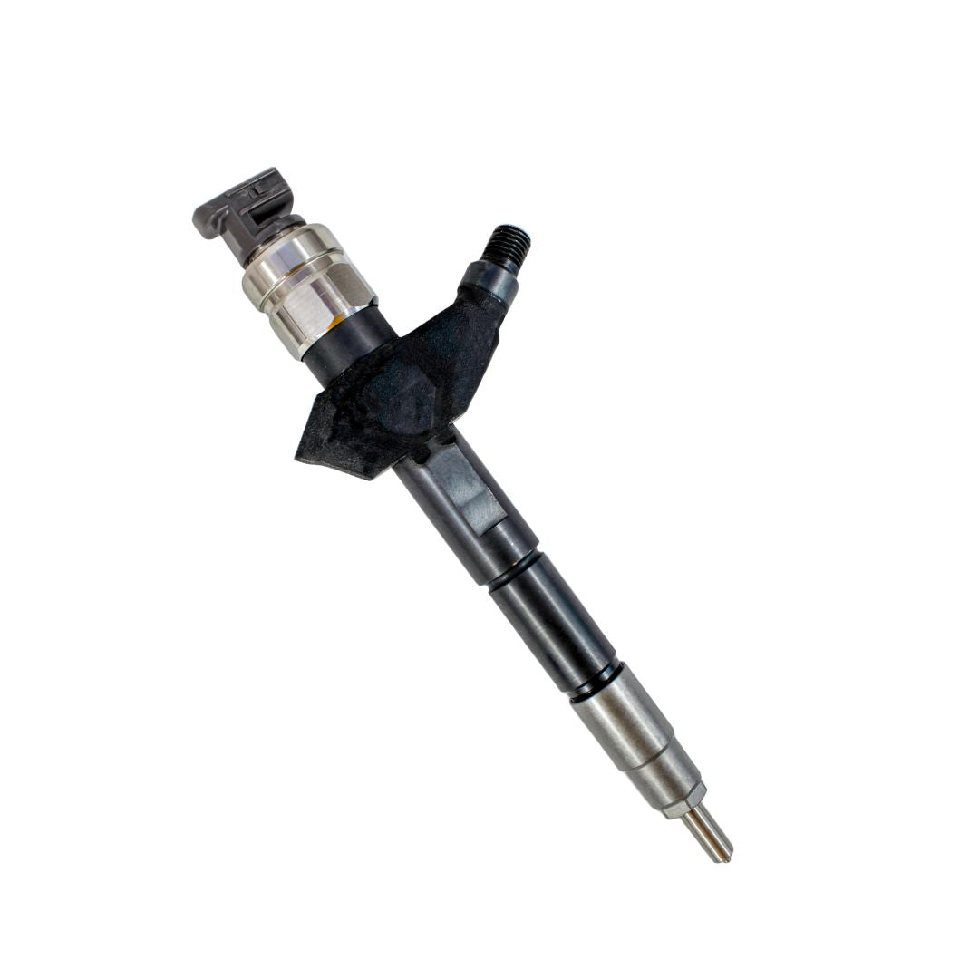 Inyector Einer DS, Np300 095000-6244